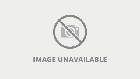 Pussy licking movie